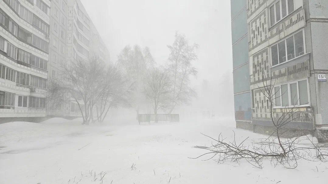 Фото Зимний шторм обрушился на Новосибирск. 10 фотоснимков жуткого снежного коллапса 10