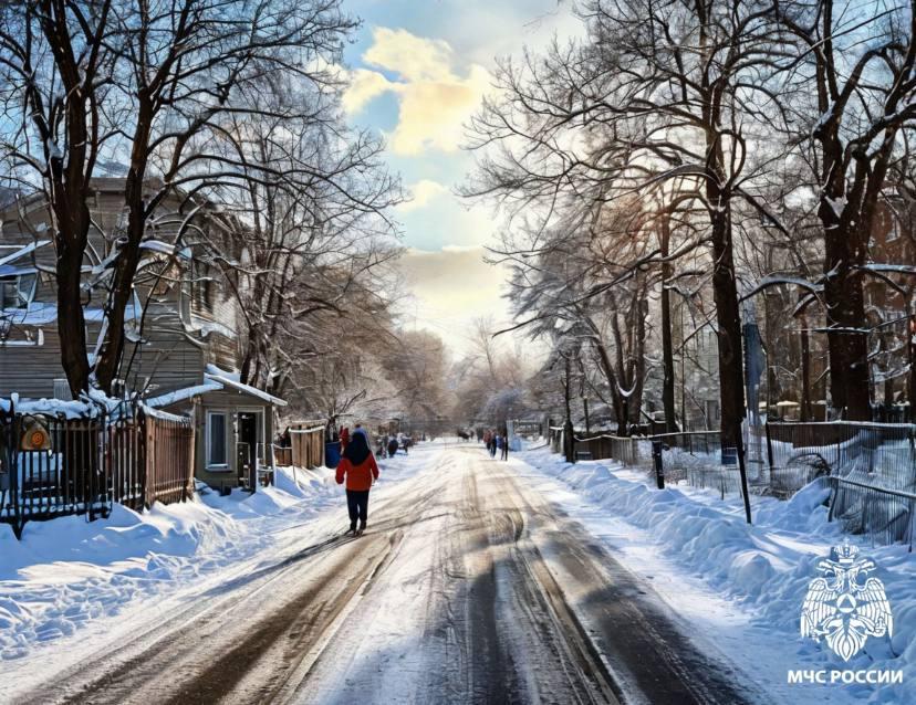 Фото Убийство экс-главы УФСКН и всплеск заболеваемости ОРВИ: главные новости Новосибирской области за 21 января 4