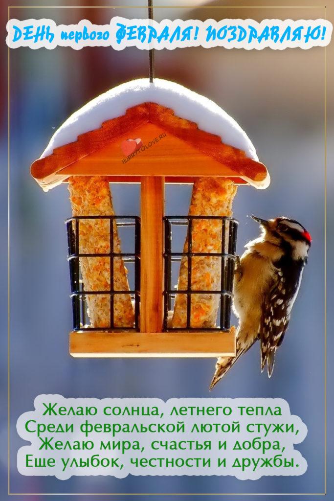 Фото С первым днем февраля: картинки и открытки к последнему месяцу зимы 13