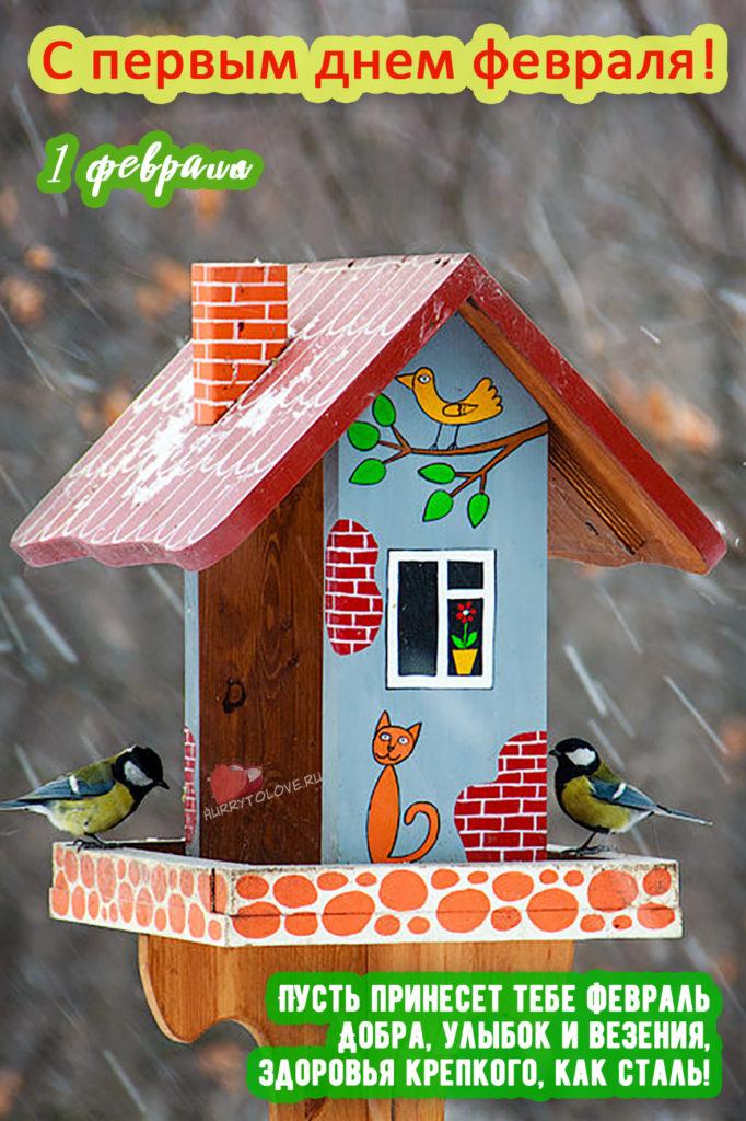 Фото С первым днем февраля: картинки и открытки к последнему месяцу зимы 15