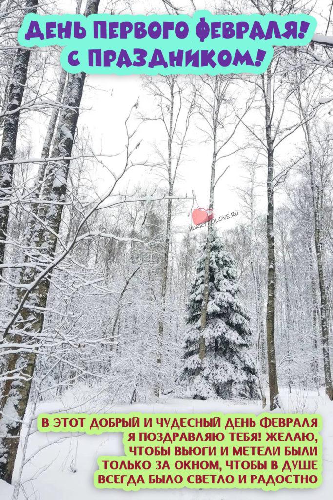 Фото С первым днем февраля: картинки и открытки к последнему месяцу зимы 3