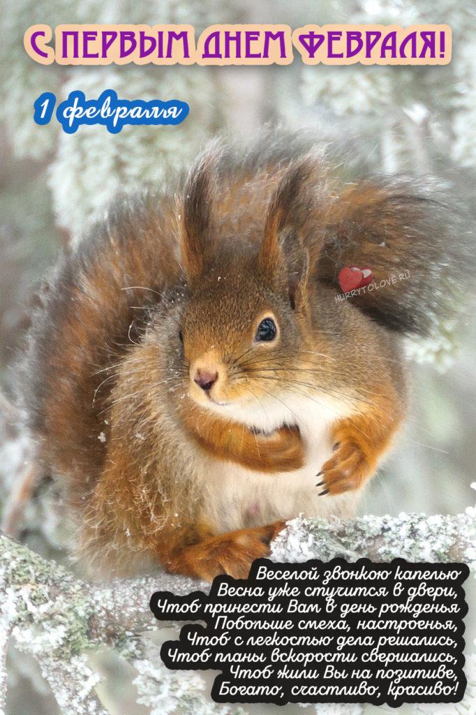 Фото С первым днем февраля: картинки и открытки к последнему месяцу зимы 5