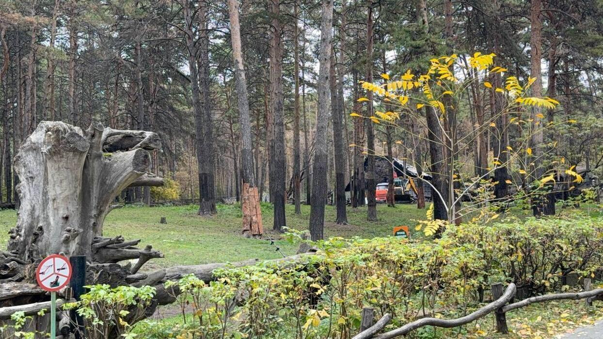 Фото Шокирующая хроника полугодия: опубликованы кадры с мест самых трагических событий в Новосибирске 7
