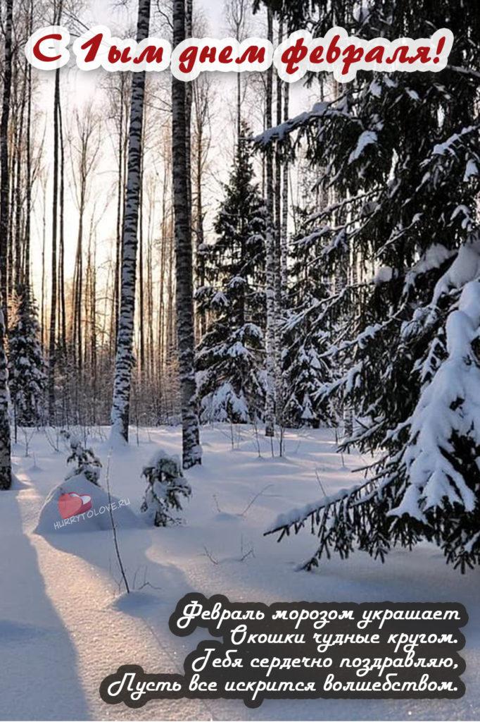 Фото С первым днем февраля: картинки и открытки к последнему месяцу зимы 8
