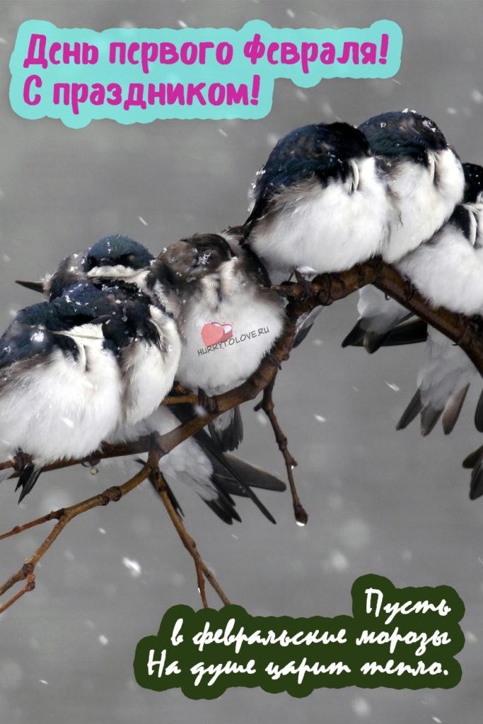 Фото С первым днем февраля: картинки и открытки к последнему месяцу зимы 9