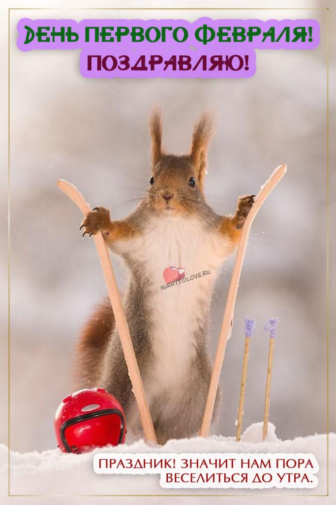 Фото С первым днем февраля: картинки и открытки к последнему месяцу зимы 10