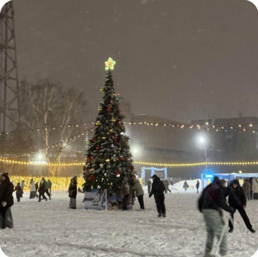 Фото Новосибирцы показали фото окутанного снегом города 5