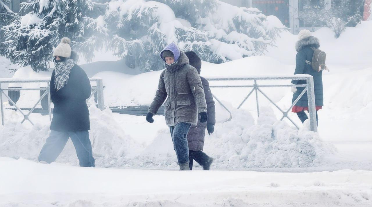 Фото Опубликованы фото украшенных жгучим морозом новосибирцев, собак и деревьев 2