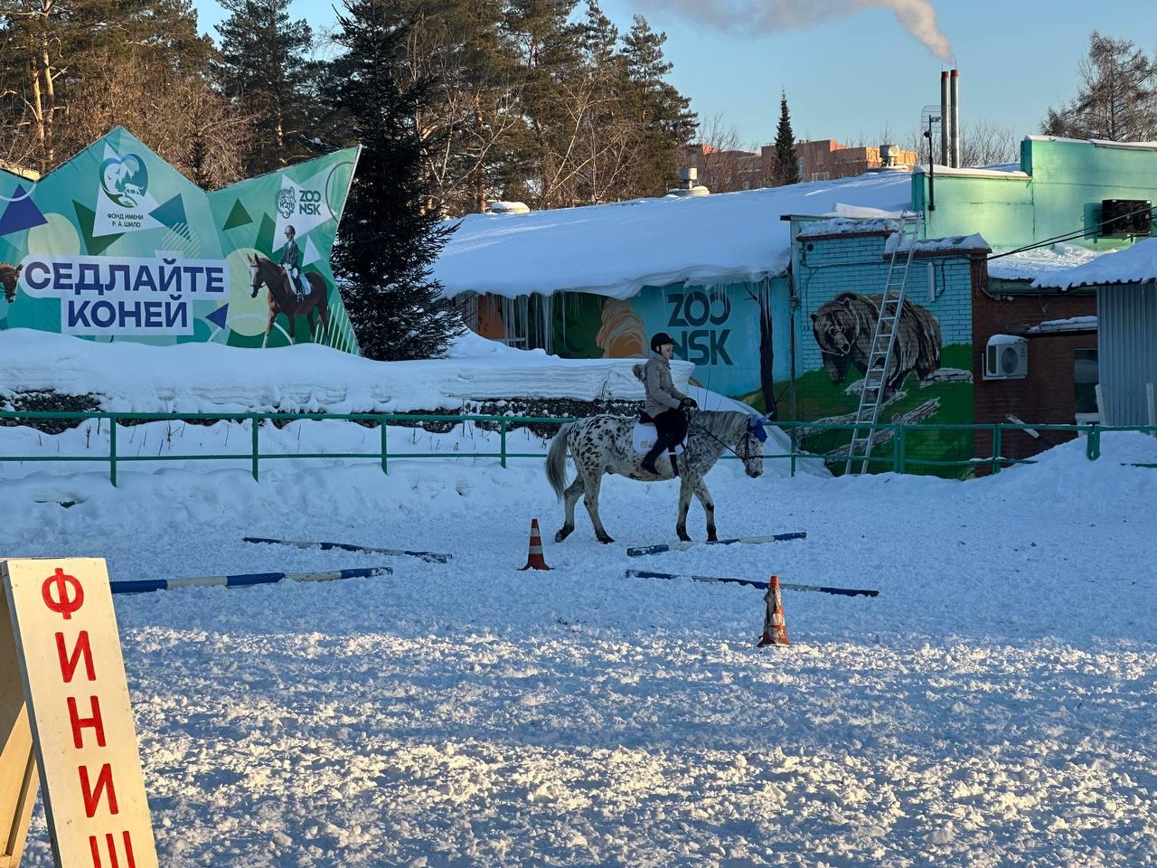 Фото В Новосибирске показали животных из зоопарка в зимнюю погоду 3 - Сиб.ФМ Фото В Новосибирске показали животных из зоопарка в зимнюю погоду 3