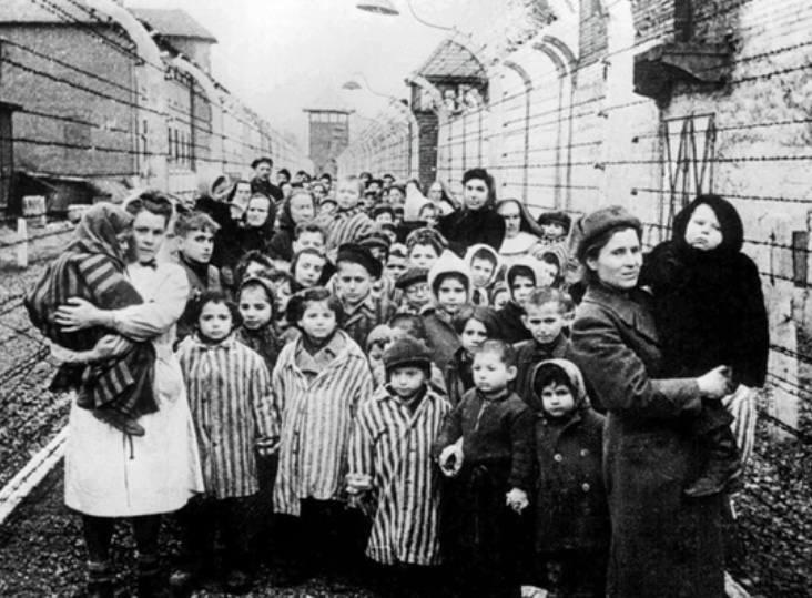 Фото В Новосибирске опубликовали кадры ко дню освобождения Ленинграда и памяти жертв Холокоста 4