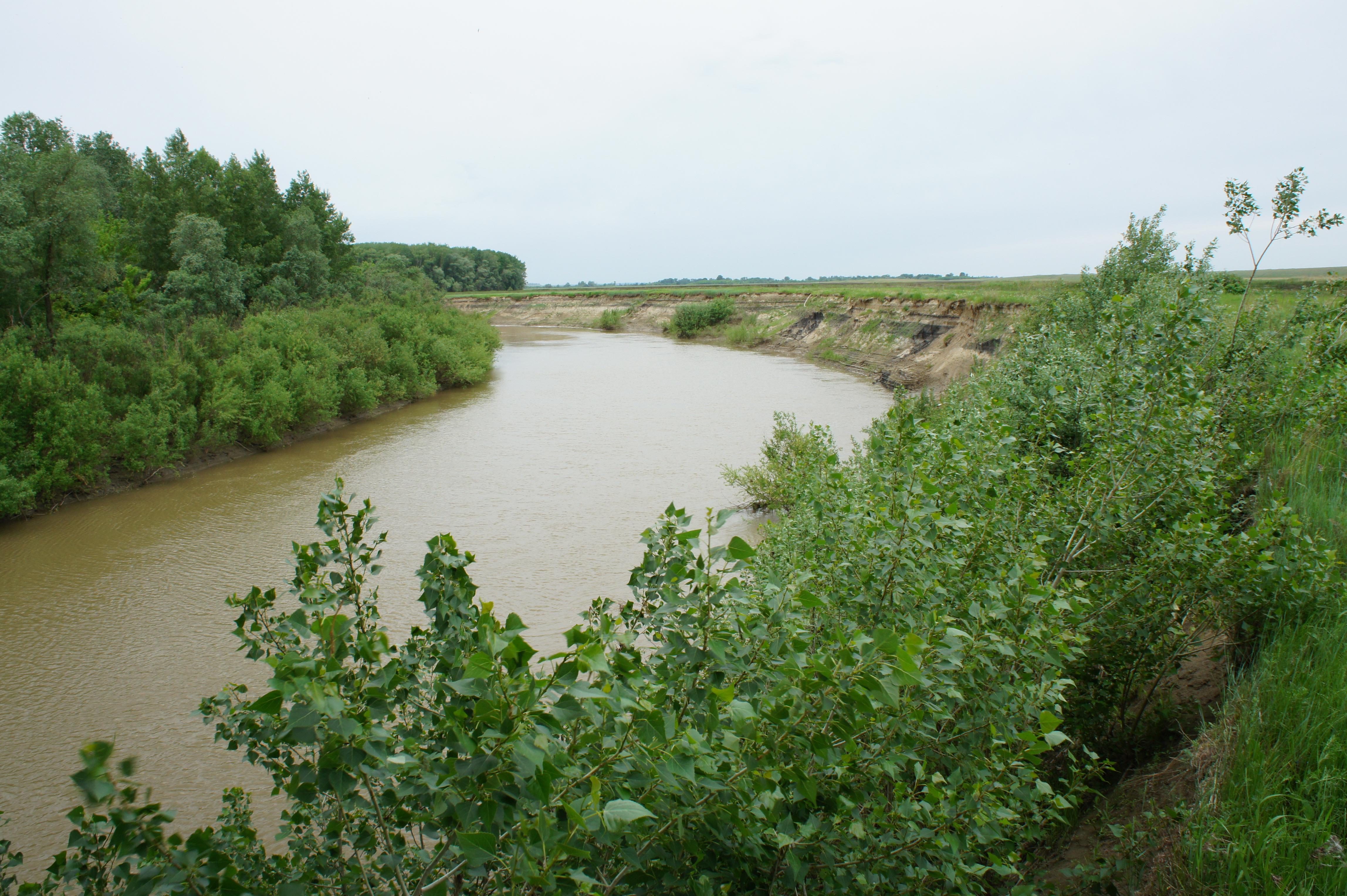 Река алей алтайский