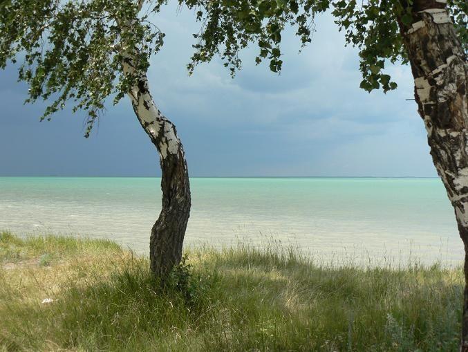 Фото Поехали на озеро: что ждёт туристов на популярных водоёмах в Новосибирской области 3