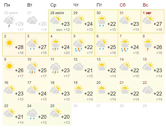 Фото Какой будет погода в августе 2021 года в Новосибирске 2