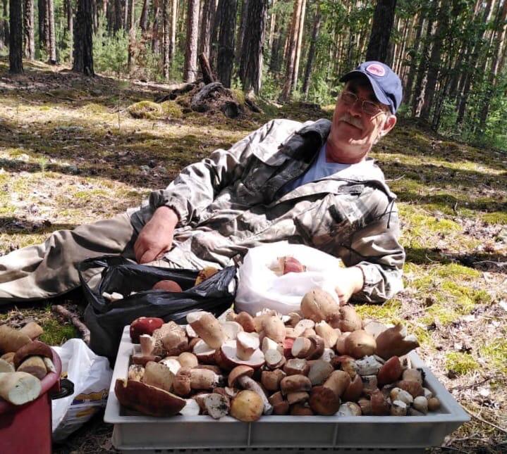 фото «Столько грибов мы ещё не собирали»: новосибирцы хвастаются урожаем дикоросов