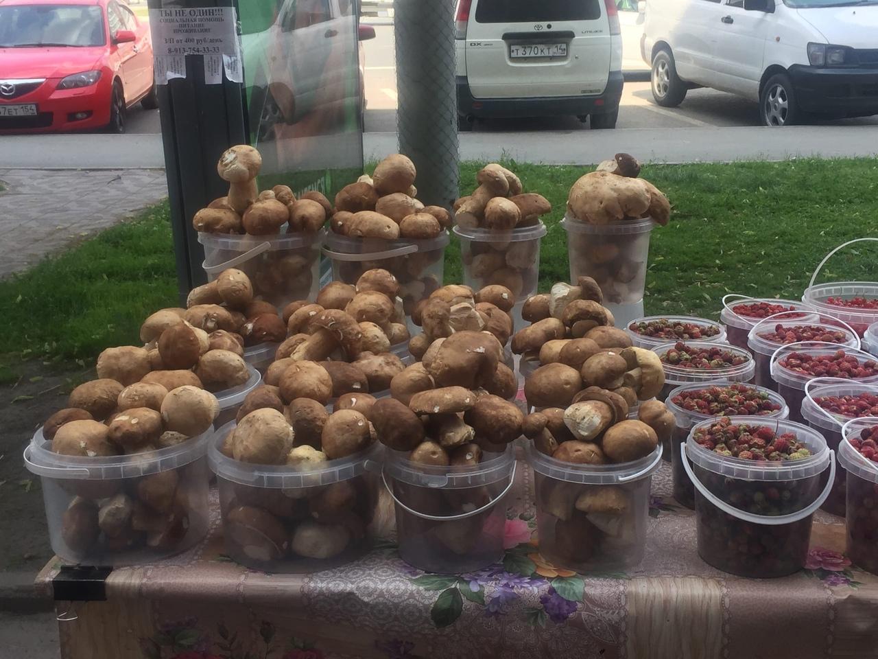 фото «Они не белые, а золотые»: в Новосибирске на улицах начали продавать белый гриб