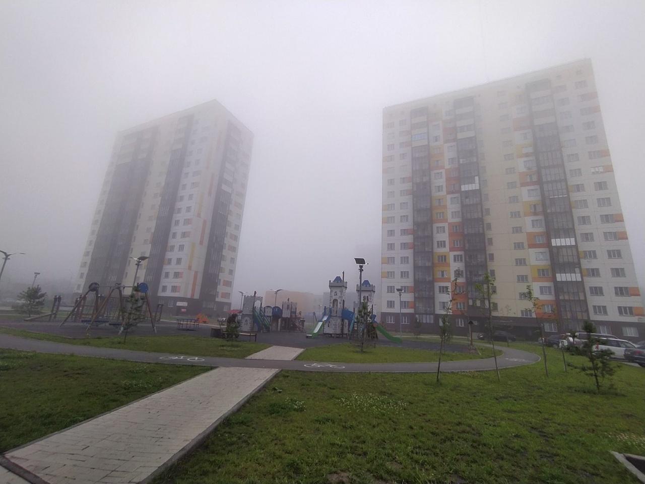 Фото «Глаза запотели»: жители Новосибирска отреагировали на густой туман утром 7 июля 2