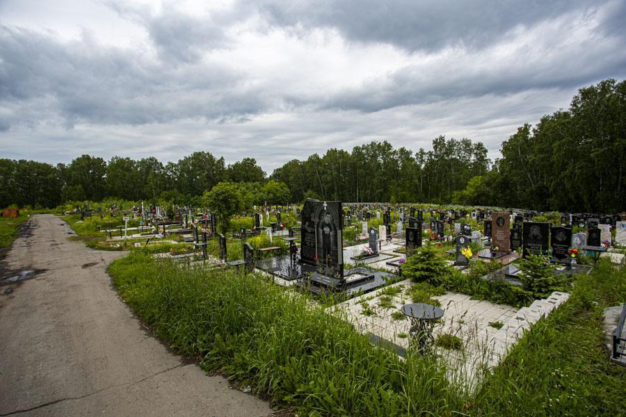 Фото Новосибирский миколог Татьяна Бульонкова рассказала, можно ли собирать грибы на кладбищах