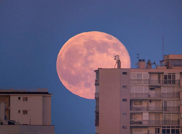 Фото Мистическая Луна в Козероге взойдет над Россией 13 июля: чем грозит суперлуние в день чертовой дюжины 3