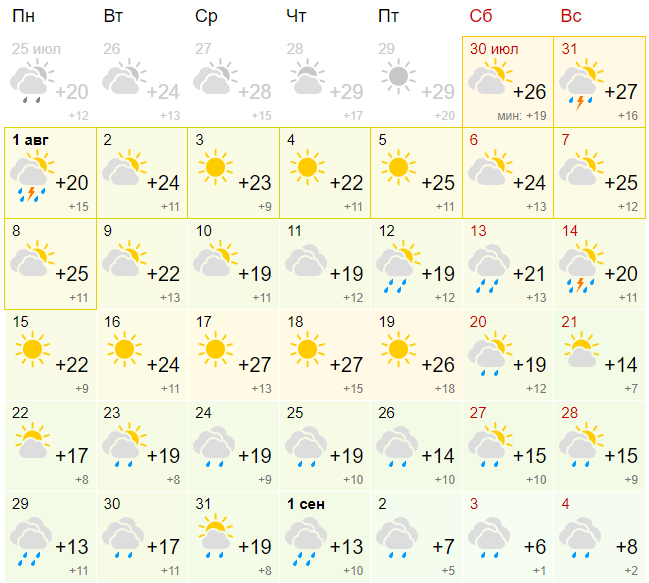Фото В Новосибирске опубликован точный прогноз погоды на август 2022 года 2