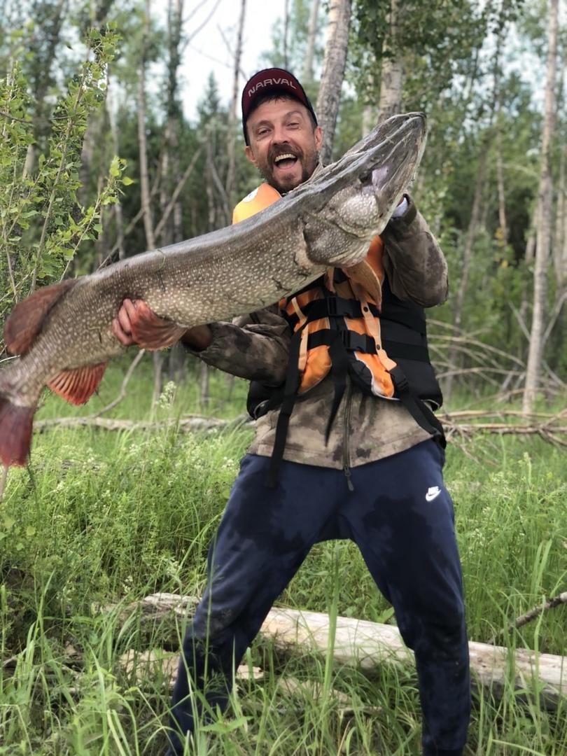 Фото Рыбак из Новосибирска поймал гигантскую щуку длиной более метра 2