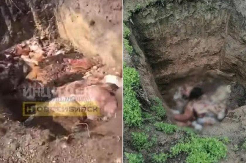 Фото Подглядывающий педофил и риск кишечной палочки: главные новости Новосибирской области за 17 июля 3