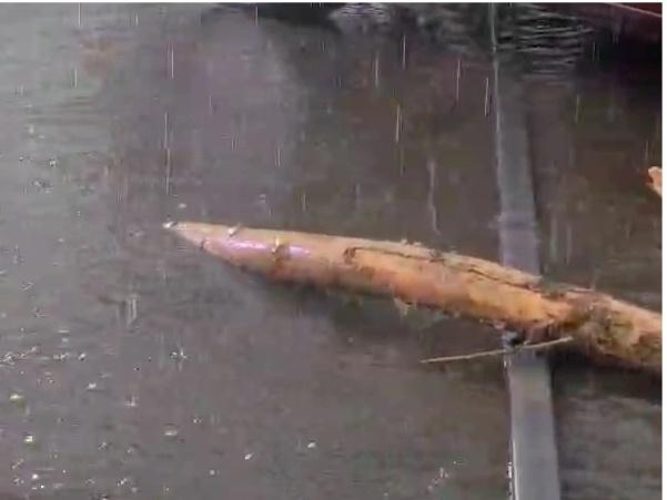 Фото Разрушенные дома и затопленные дороги. Как Новосибирск пережил мощный ливень и ураган 10