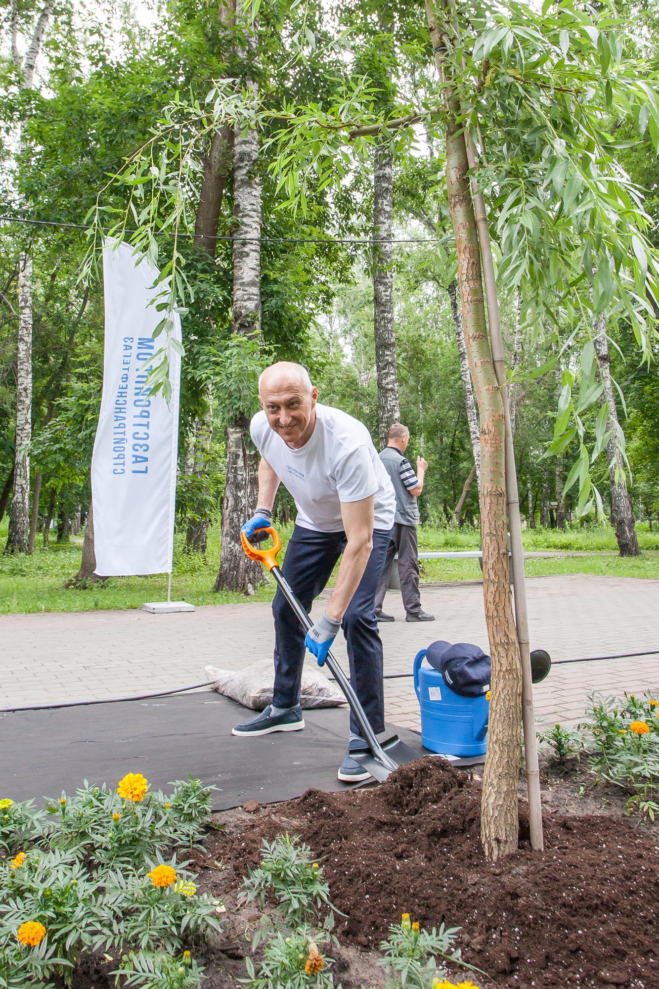 Фото В Березовой роще на Аллее Ветеранов высадили плакучие ивы и можжевельник 3 - Сиб.ФМ Фото В Березовой роще на Аллее Ветеранов высадили плакучие ивы и можжевельник 3