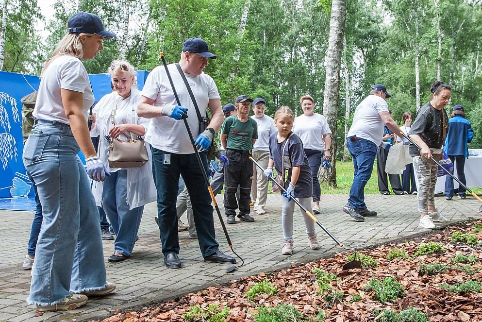 Фото В Березовой роще на Аллее Ветеранов высадили плакучие ивы и можжевельник 4 - Сиб.ФМ Фото В Березовой роще на Аллее Ветеранов высадили плакучие ивы и можжевельник 4