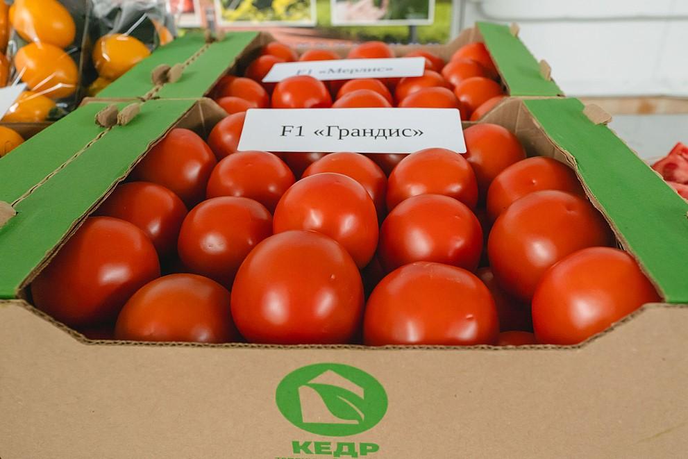 Фото Федеральный ритейлер рассказал, какие свежие овощи продаются лучше всего 4 - Сиб.ФМ Фото Федеральный ритейлер рассказал, какие свежие овощи продаются лучше всего 4