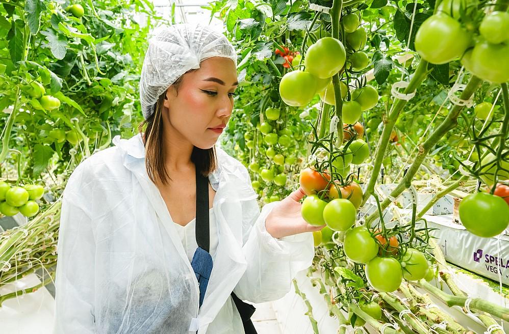 Фото Федеральный ритейлер рассказал, какие свежие овощи продаются лучше всего 5 - Сиб.ФМ Фото Федеральный ритейлер рассказал, какие свежие овощи продаются лучше всего 5