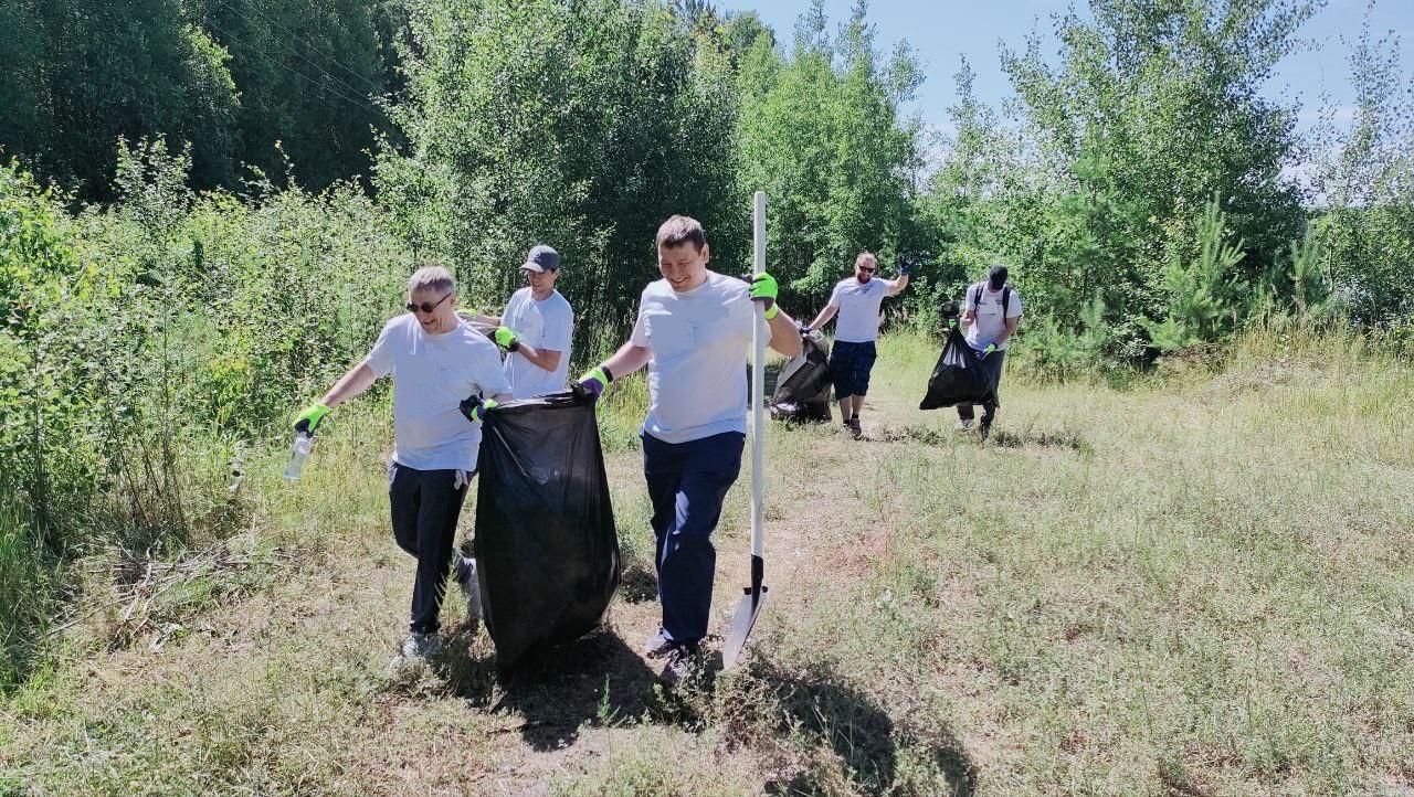 Фото Корпоративные эковолонтеры провели масштабную уборку в Караканском бору 4 - Сиб.ФМ Фото Корпоративные эковолонтеры провели масштабную уборку в Караканском бору 4