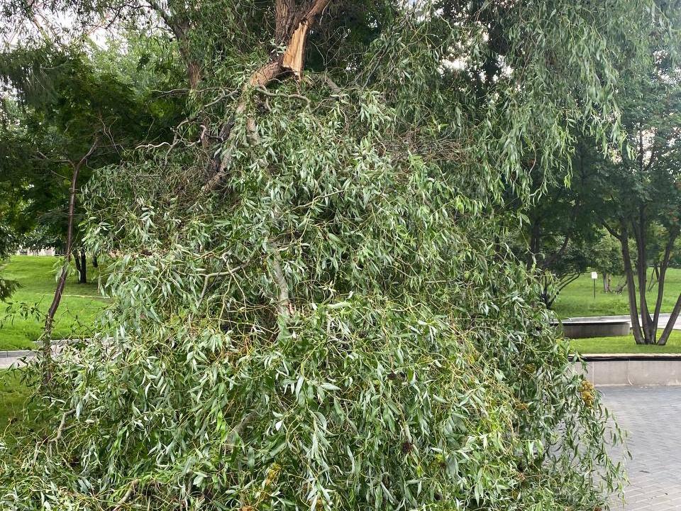 Фото Разрушенные дома и затопленные дороги. Как Новосибирск пережил мощный ливень и ураган 7