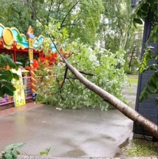Фото Черные тучи и сильный ветер. На Новосибирск впервые за лето обрушился ливень. ОНЛАЙН 6 - Сиб.ФМ Фото Черные тучи и сильный ветер. На Новосибирск впервые за лето обрушился ливень. ОНЛАЙН 6