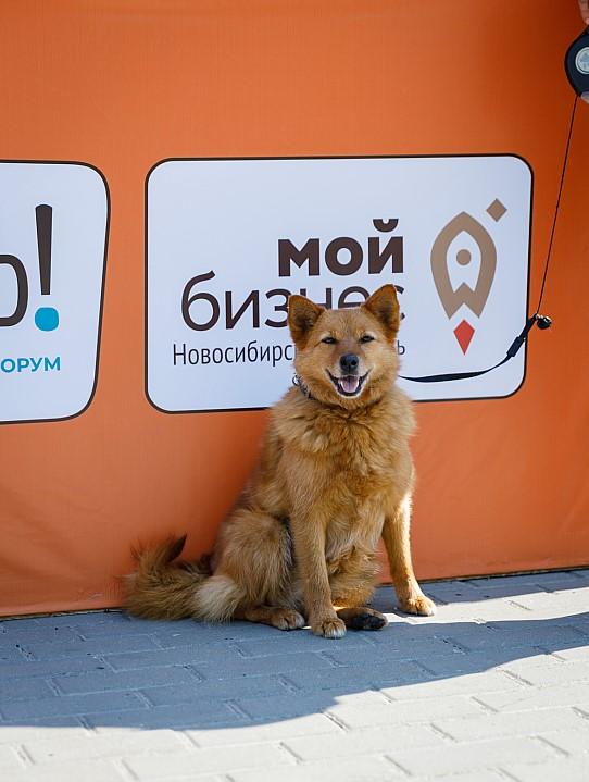 Фото V Международный гастротуристический фестиваль-форум «В Сибири – есть!» завершился в Новосибирске 6 - Сиб.ФМ Фото V Международный гастротуристический фестиваль-форум «В Сибири – есть!» завершился в Новосибирске 6