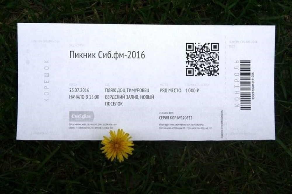 Билет на пикник москва