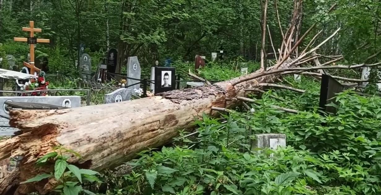 Клещихинское кладбище Новосибирск часовня