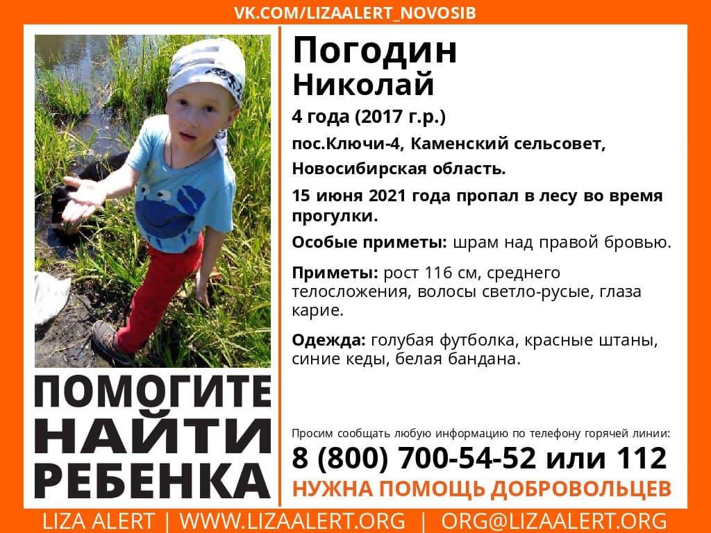 Фото 4-летний мальчик пропал в лесу под Новосибирском 15 июня 2