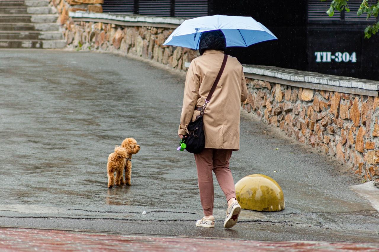 Фото Новосибирск накрыли дожди: смотрим на яркие зонты и угрюмые лица 4