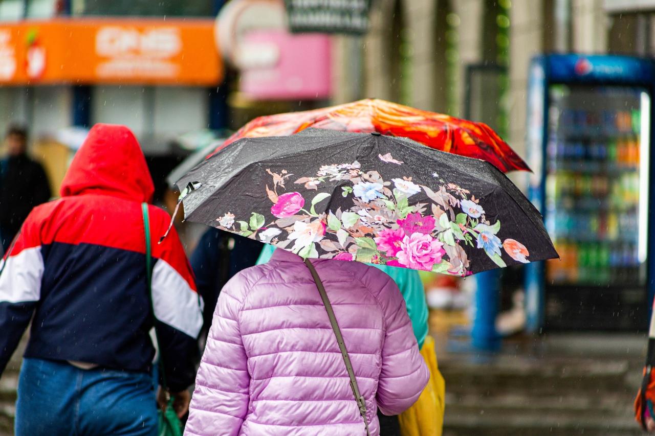 Фото Новосибирск накрыли дожди: смотрим на яркие зонты и угрюмые лица 8