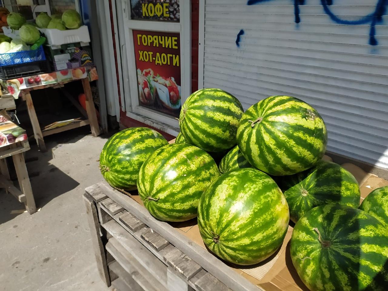 Фото В Новосибирске начали продавать арбузы из Узбекистана по 120 рублей 5