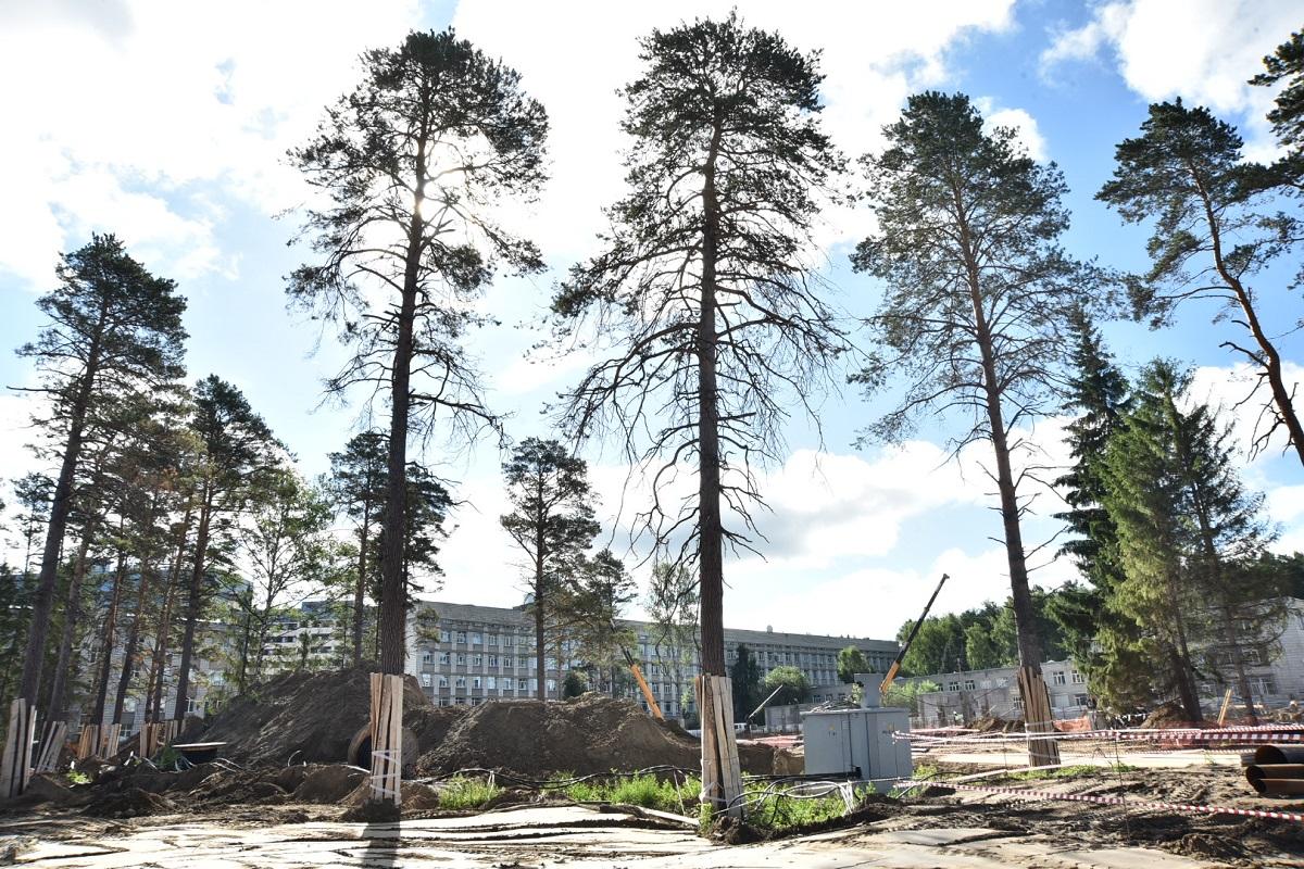 Фото На площадке строительства кампуса НГУ рассказали об особенностях новых корпусов и проекта по озеленению 3