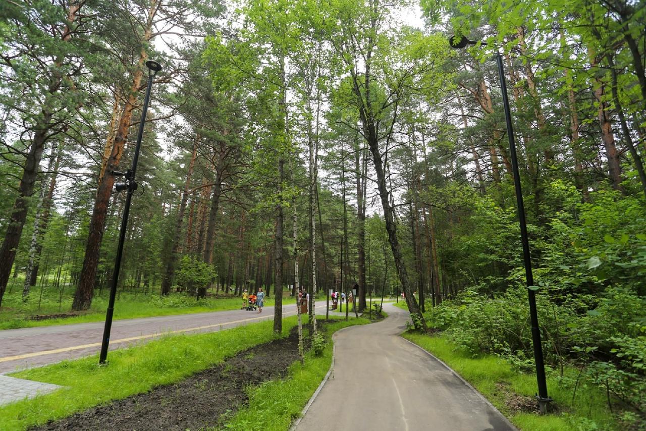 Фото Заельцовский парк открыли после реконструкции в Новосибирске 6