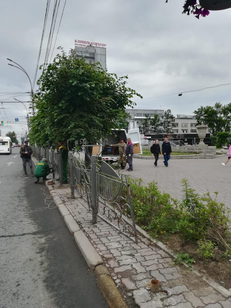 Фото На Красном проспекте Новосибирска металлический забор заменили на кусты сирени 2