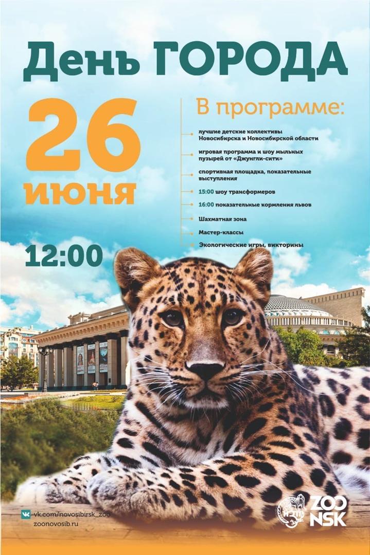 Фото Показательные кормления львов устроят в Новосибирском зоопарке в честь Дня города 2