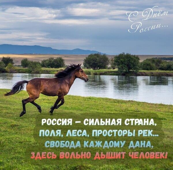 Фото День России 2023: новые патриотичные открытки, поздравления в стихах и прозе 10