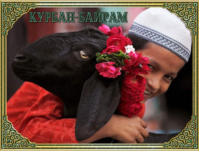 Фото Курбан Байрам 2023: новые красивые открытки и поздравления к мусульманскому празднику 8