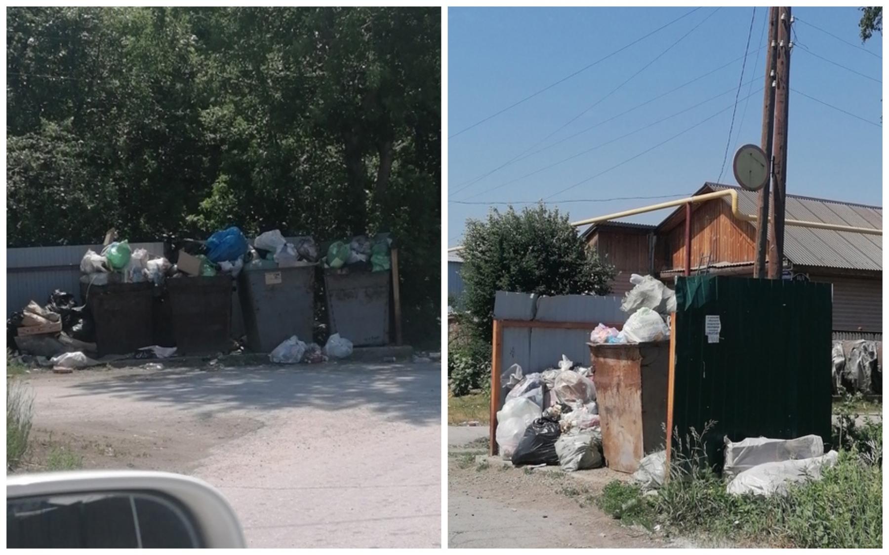 Фото Под Новосибирском жители пожаловались на горы мусора возле дома 2