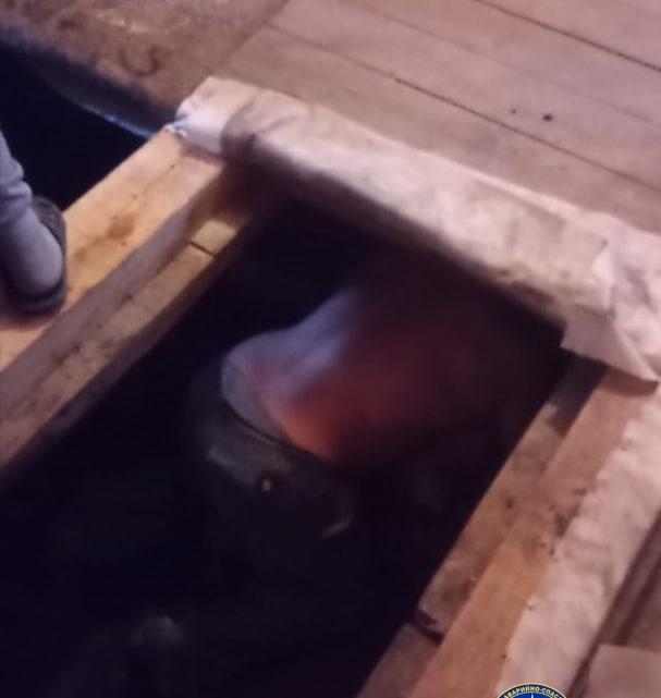 Фото В Новосибирске спасатели достали мужчину из погреба без сознания 2