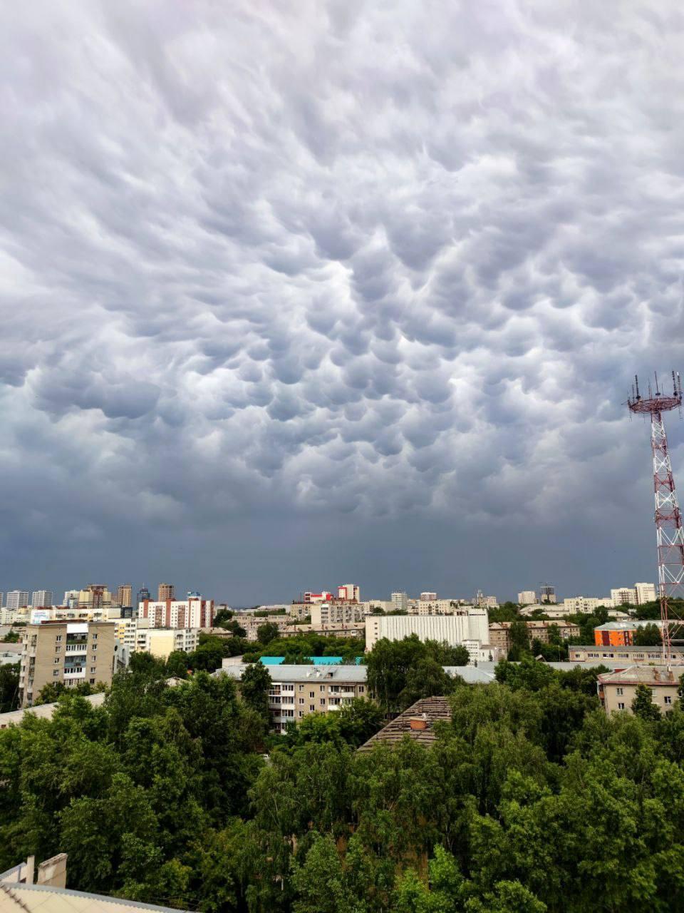 Фото Жители Новосибирска засняли над городом тропические вымеобразные облака 4