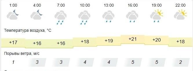 Фото Дождь и жару обещают в Новосибирске 12 июня на День России 3